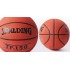 Мяч баскетбольный Spalding TF-150 Performance